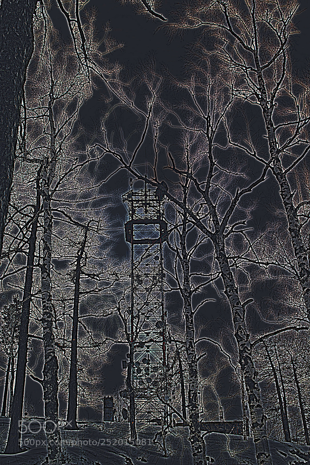Nikon D5200 sample photo. Tower in the forest photography