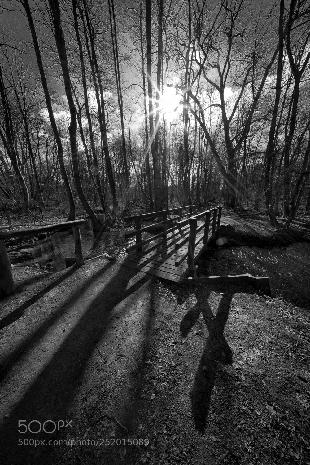 Sony a7R sample photo. Spring walk photography