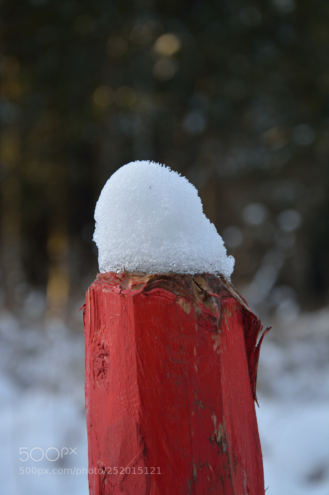 Nikon D5200 sample photo. Fence post with snow photography