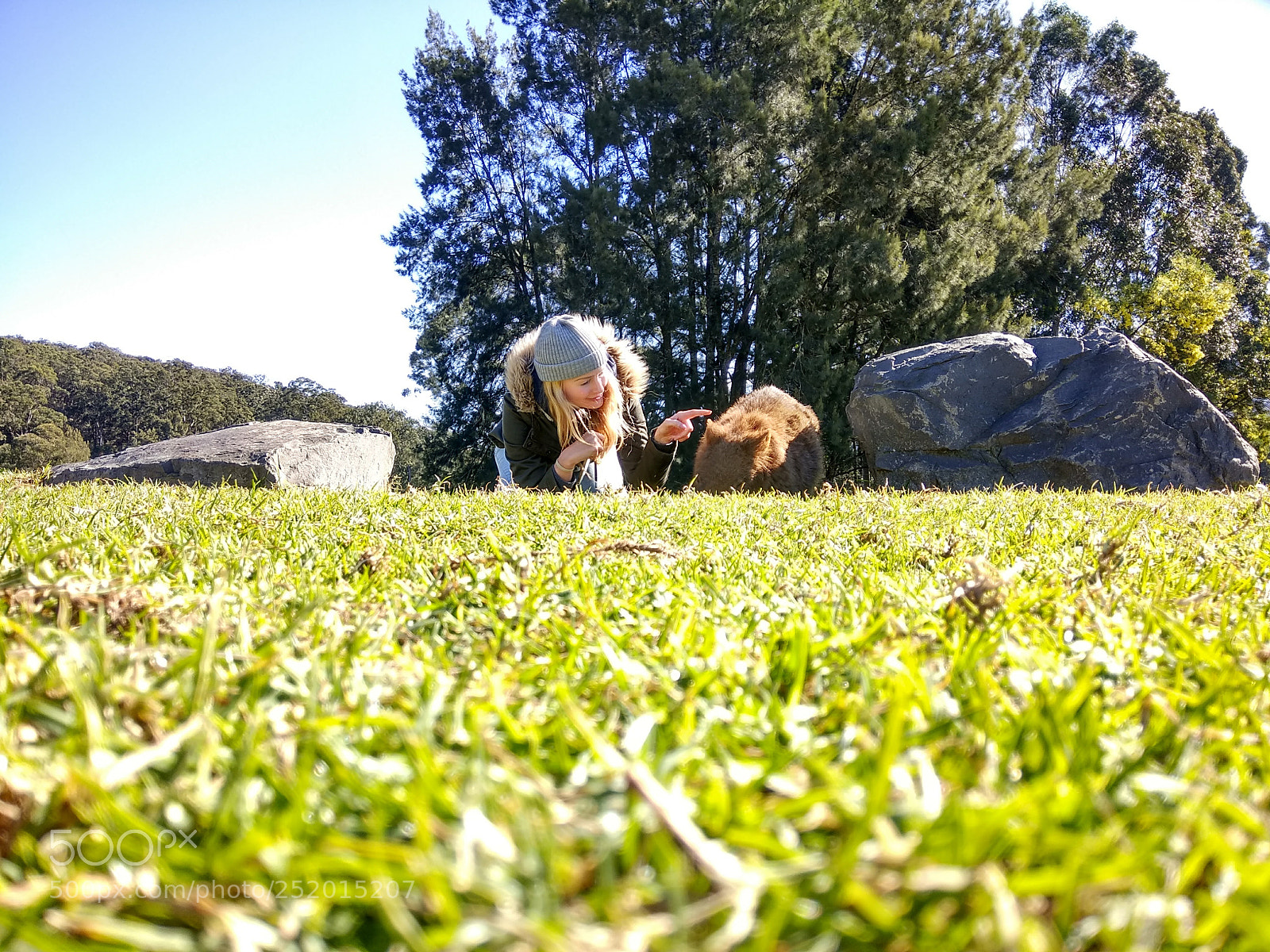 Xiaomi Redmi Note 4 sample photo. Wombats photography
