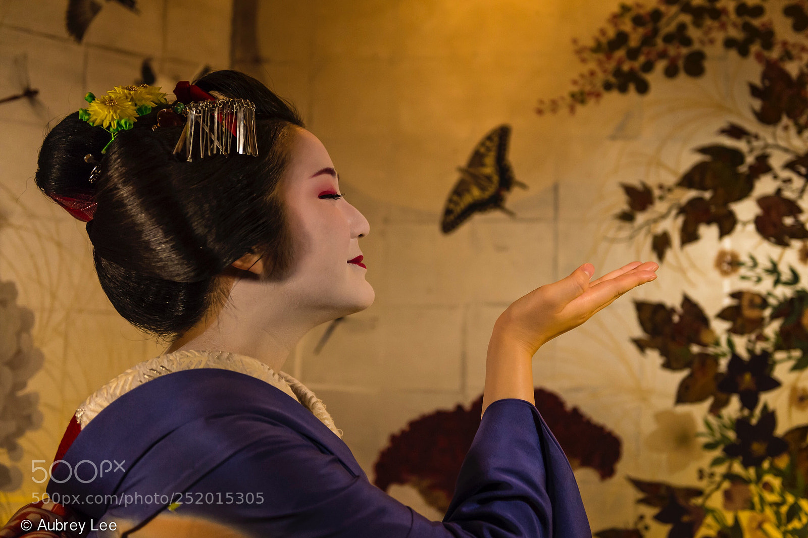 Nikon D610 sample photo. Madame butterfly photography