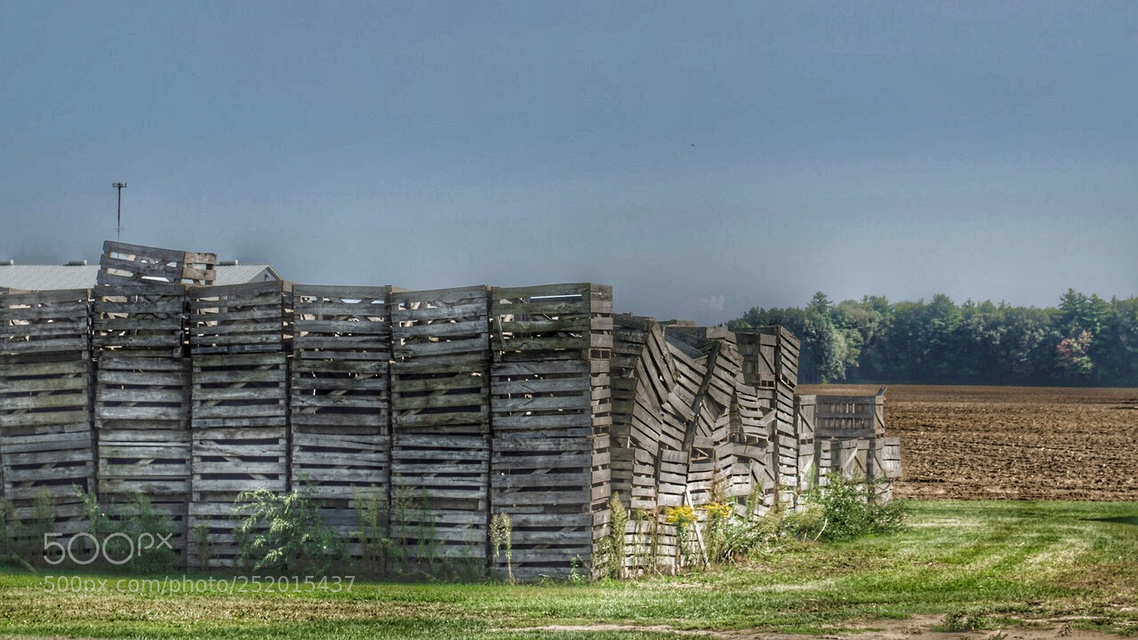 Nikon D5100 sample photo. Crates photography