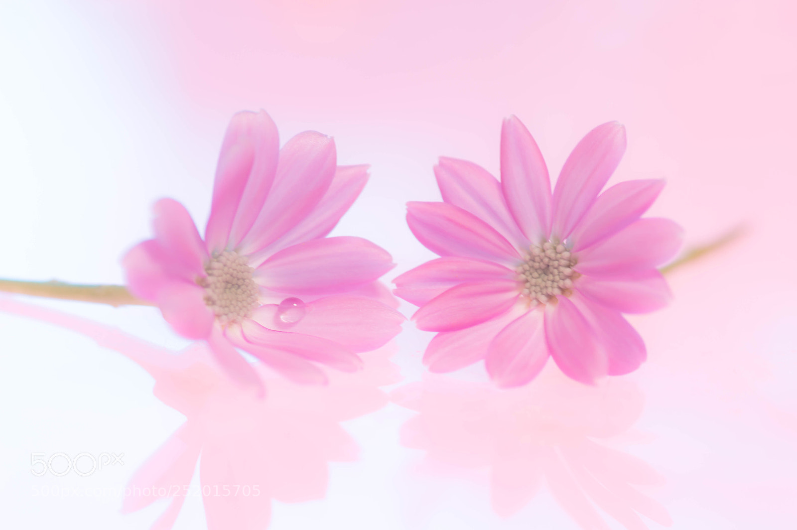 Nikon D3200 sample photo. Untitled photography