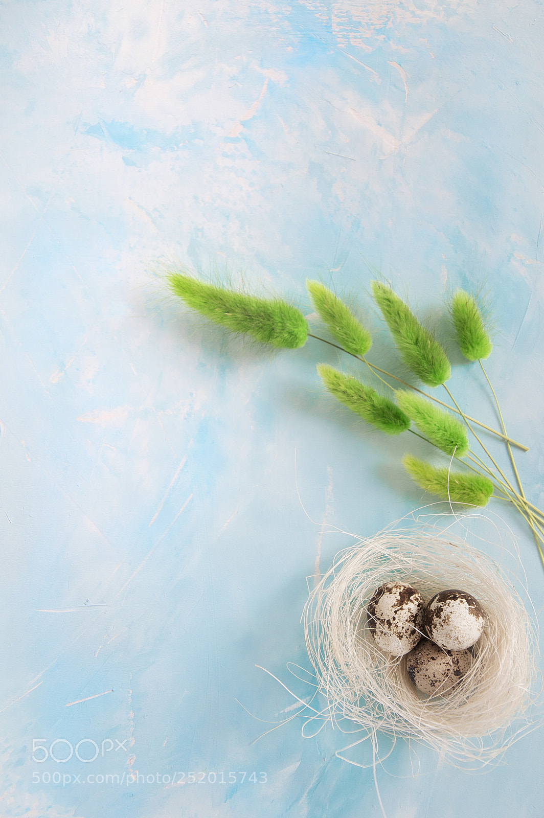Nikon D3200 sample photo. Nest with quail eggs photography