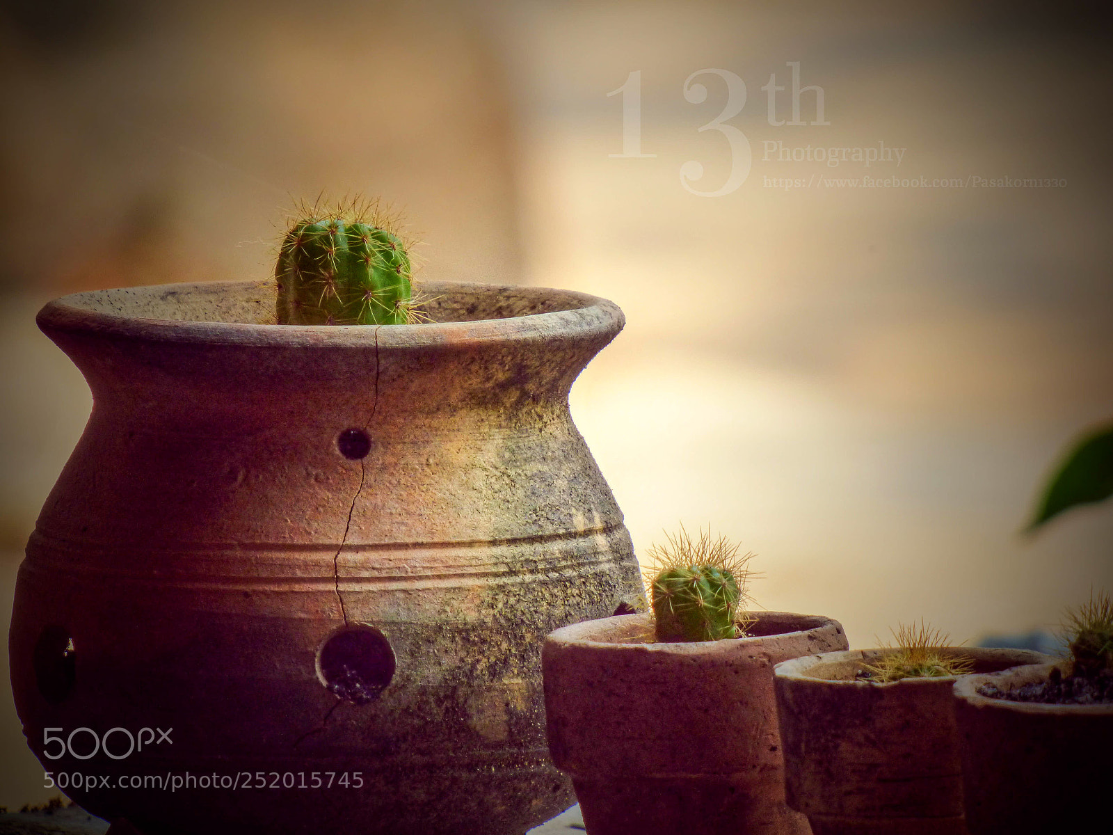 Panasonic Lumix DMC-FZ70 sample photo. The cactus in front photography