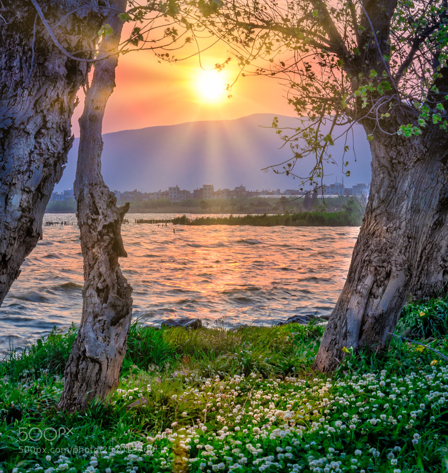 Nikon D7000 sample photo. 滇池的日落 sunset in dian lake photography