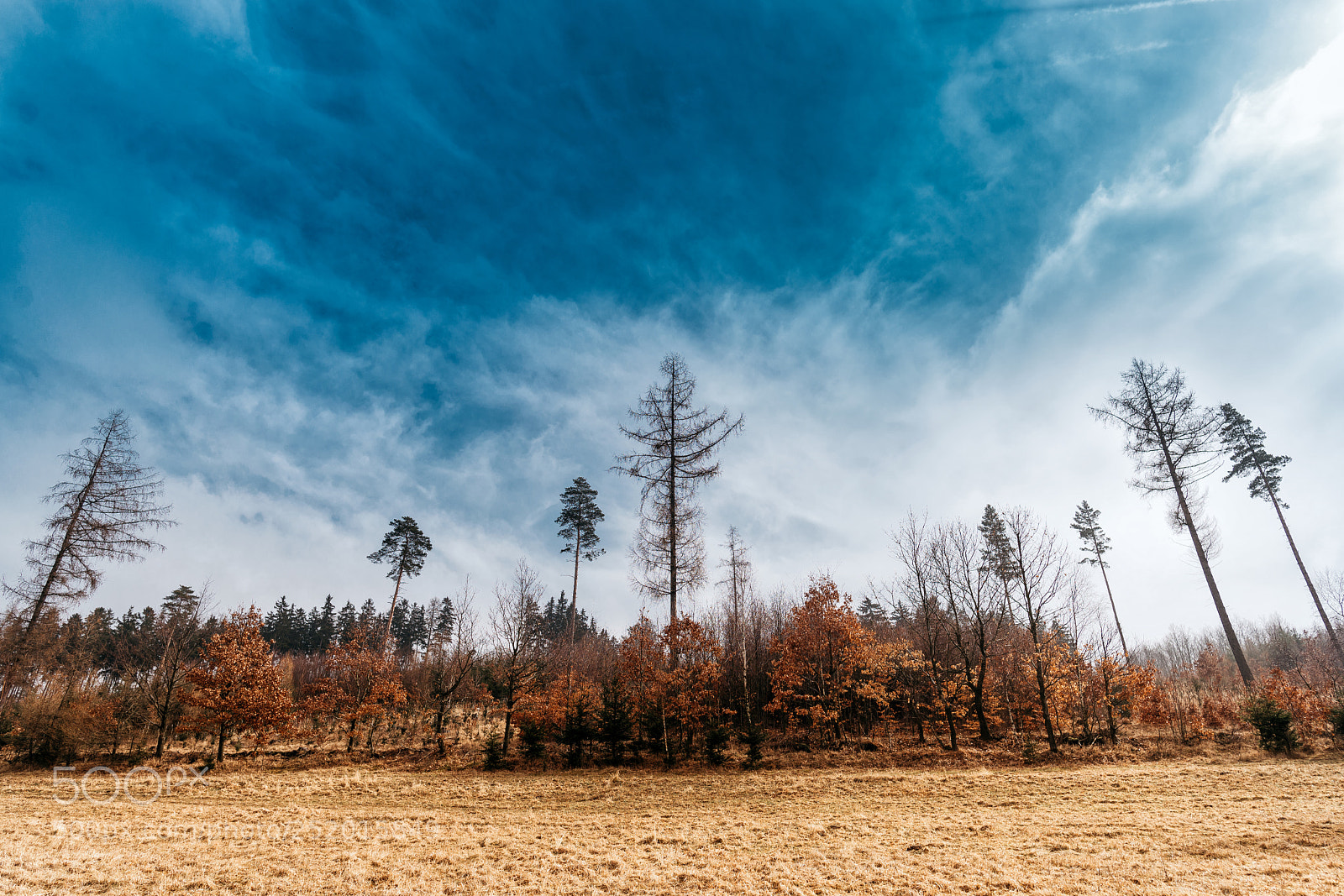 Nikon D610 sample photo. Sky photography