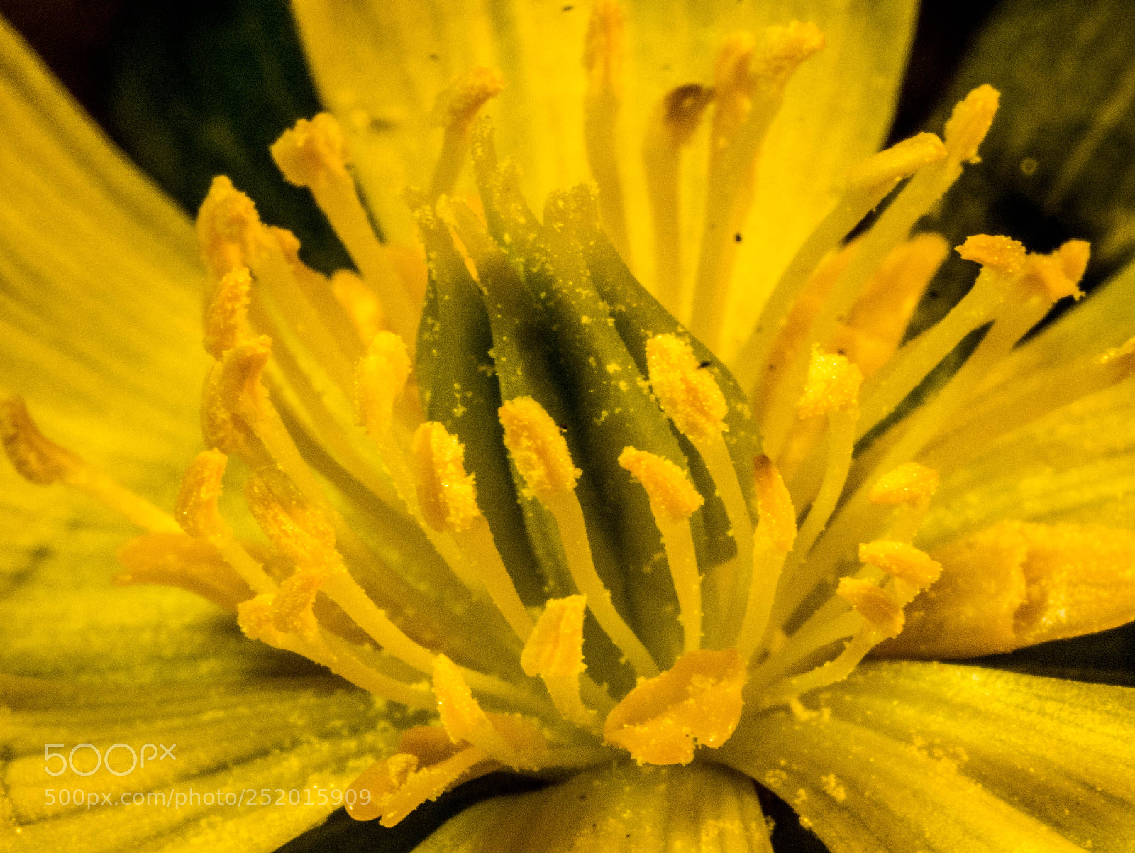 Panasonic DMC-G81 sample photo. Samenstempel photography