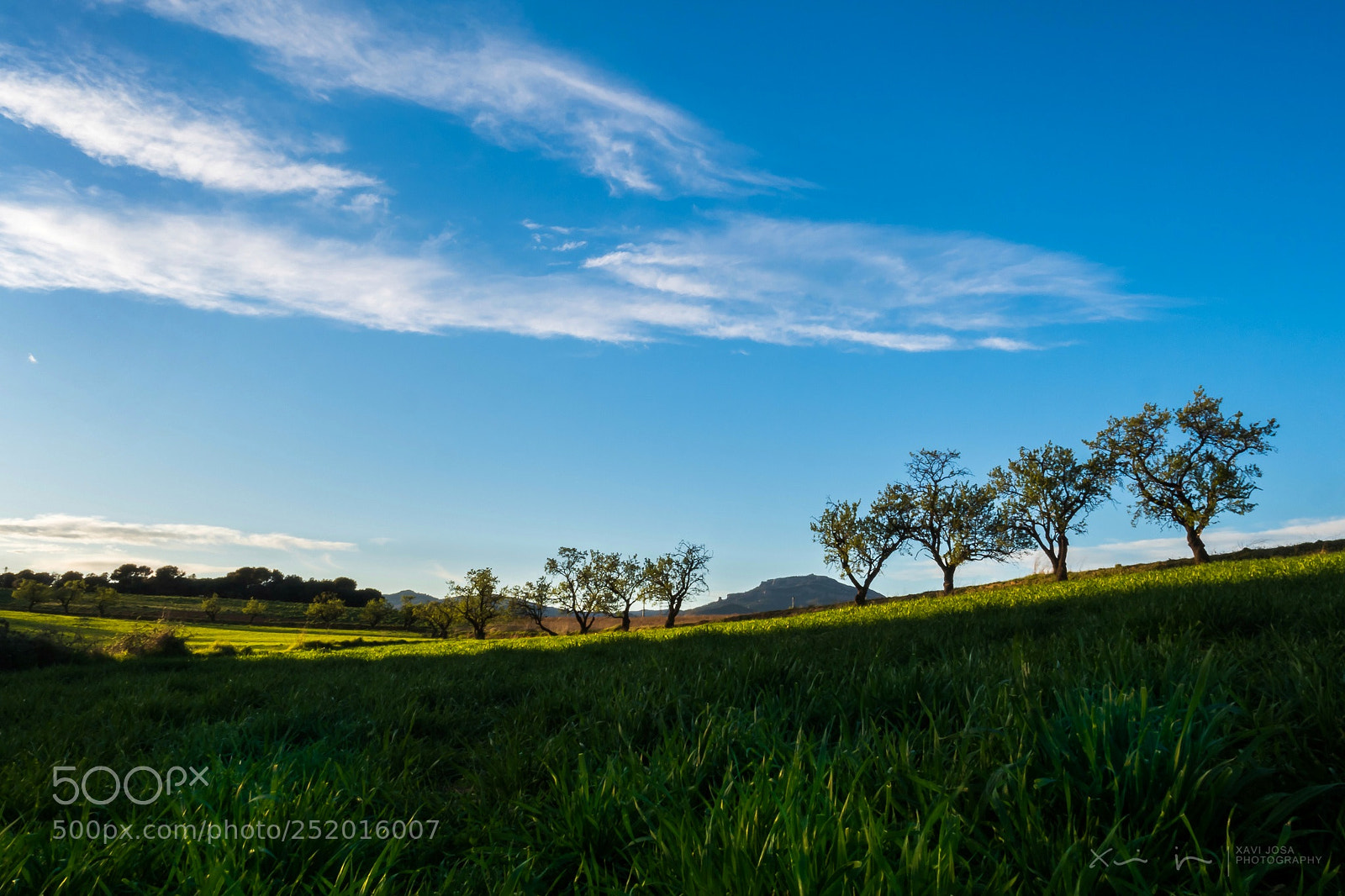 Olympus OM-D E-M1 Mark II sample photo. Green landscape.. photography