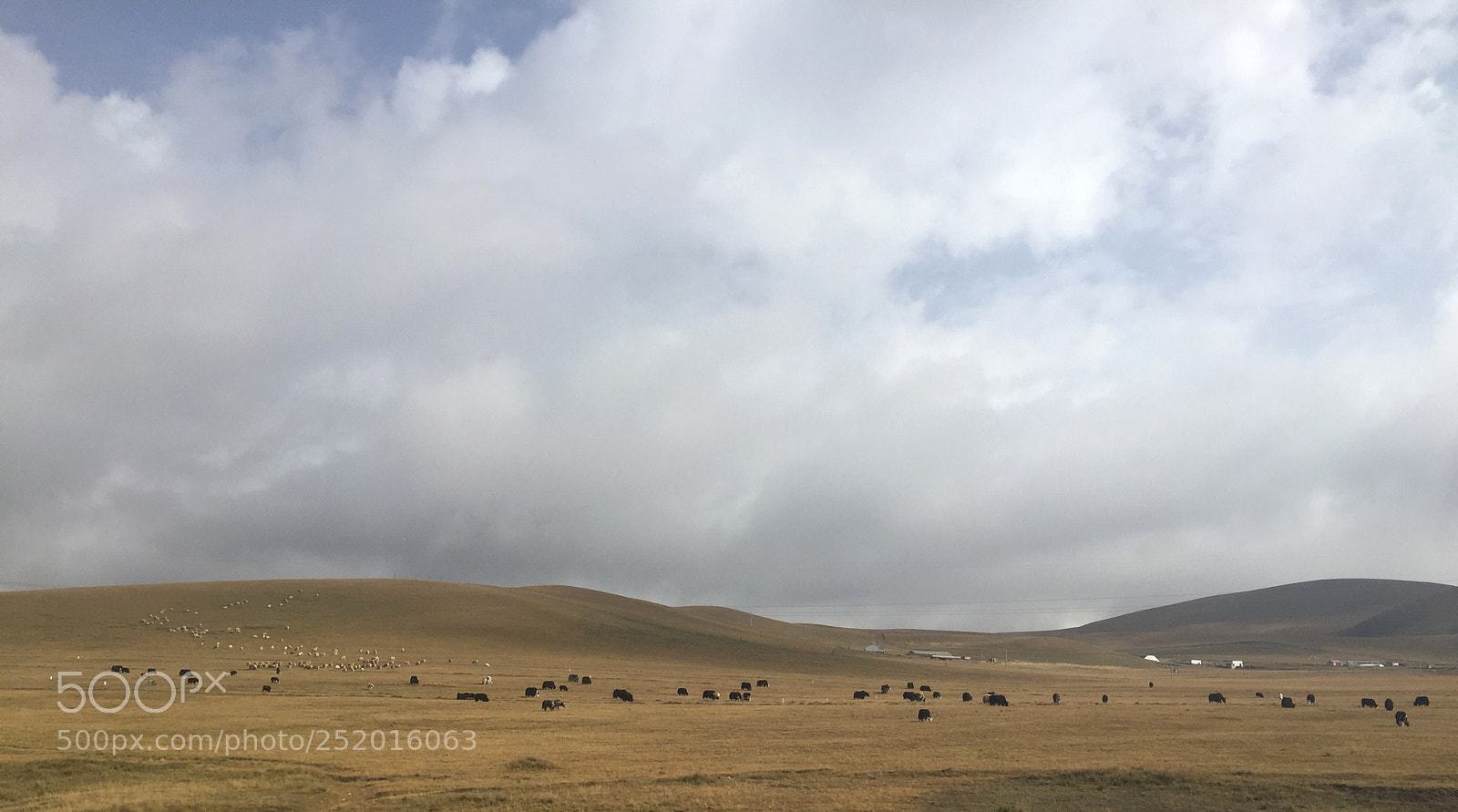 Apple iPhone 6 sample photo. Great northwest scenery photography