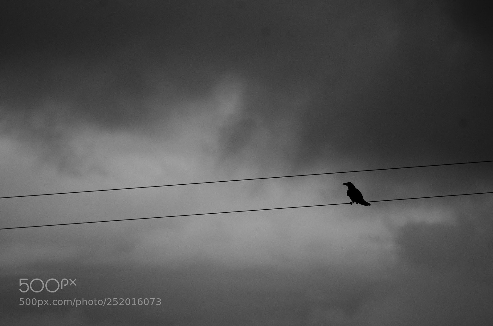 Nikon D7000 sample photo. Black watch photography