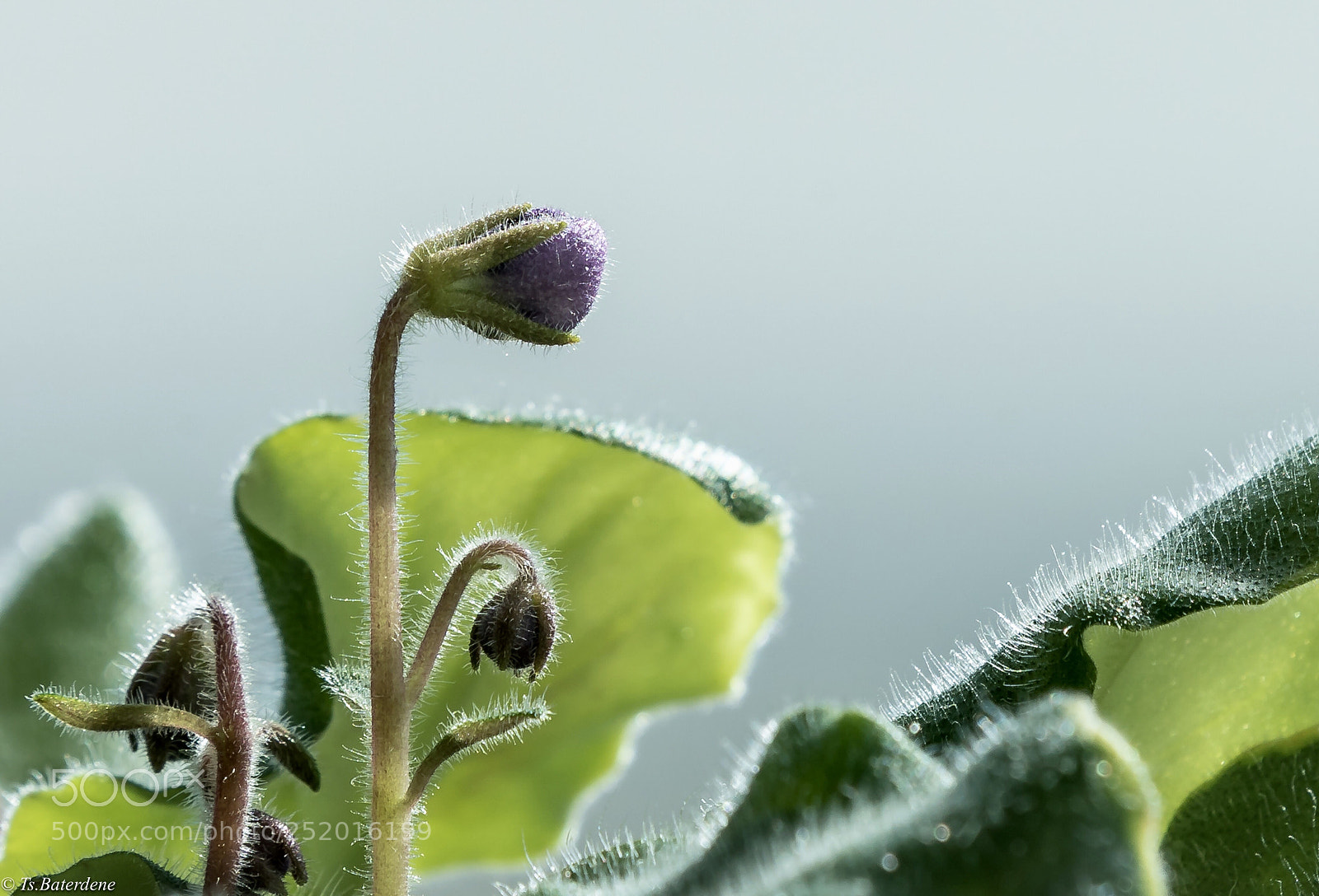 Sony a9 sample photo. Color photography