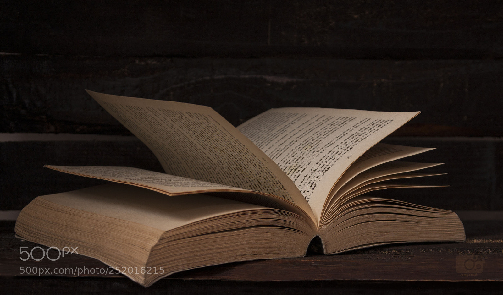 Canon EOS 40D sample photo. Reading time photography