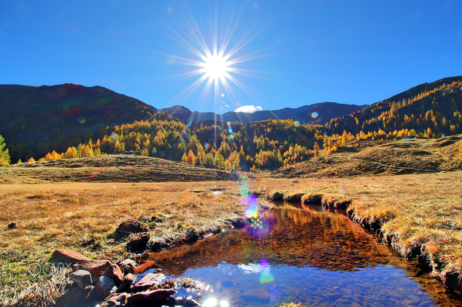 Canon EOS 700D (EOS Rebel T5i / EOS Kiss X7i) sample photo. Autumn sun photography