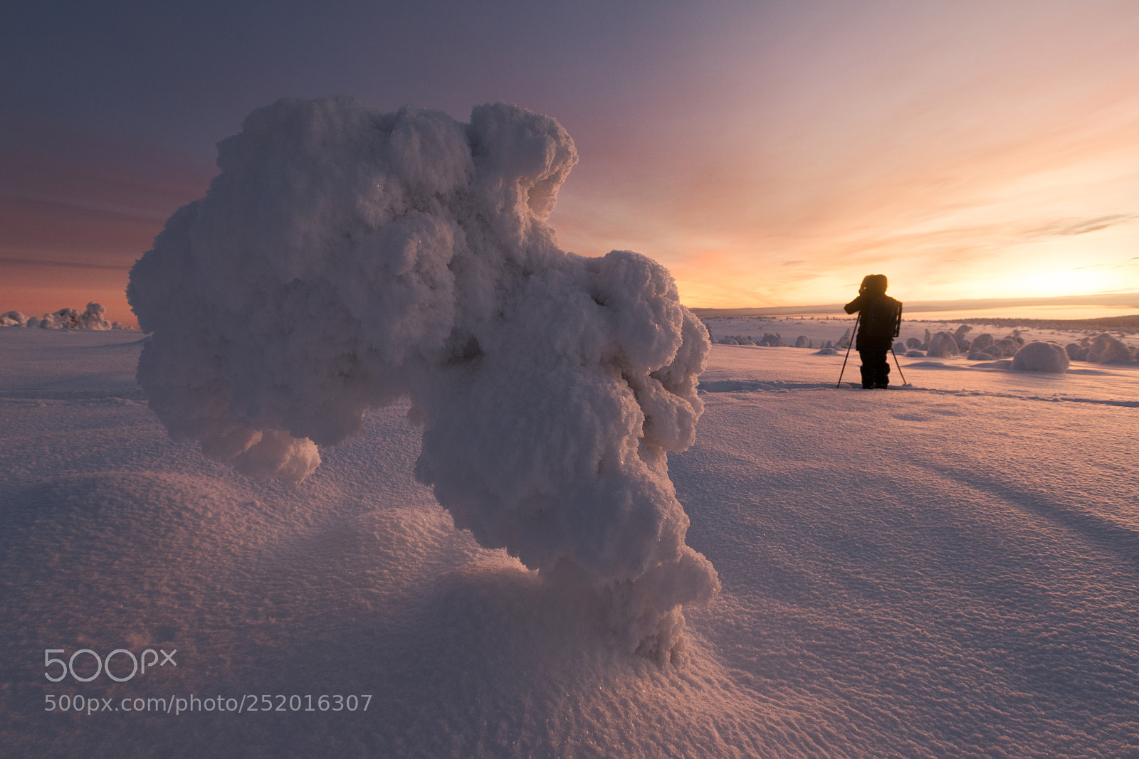 Canon EOS 6D Mark II sample photo. Lapland photography