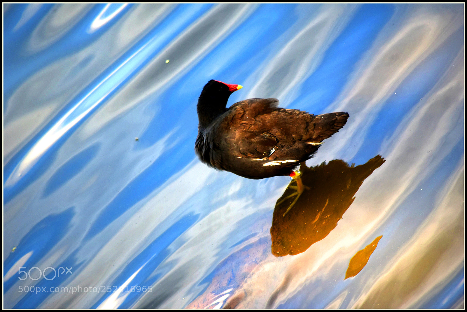 Nikon D5300 sample photo. "bonjuxuxu ;-)" photography