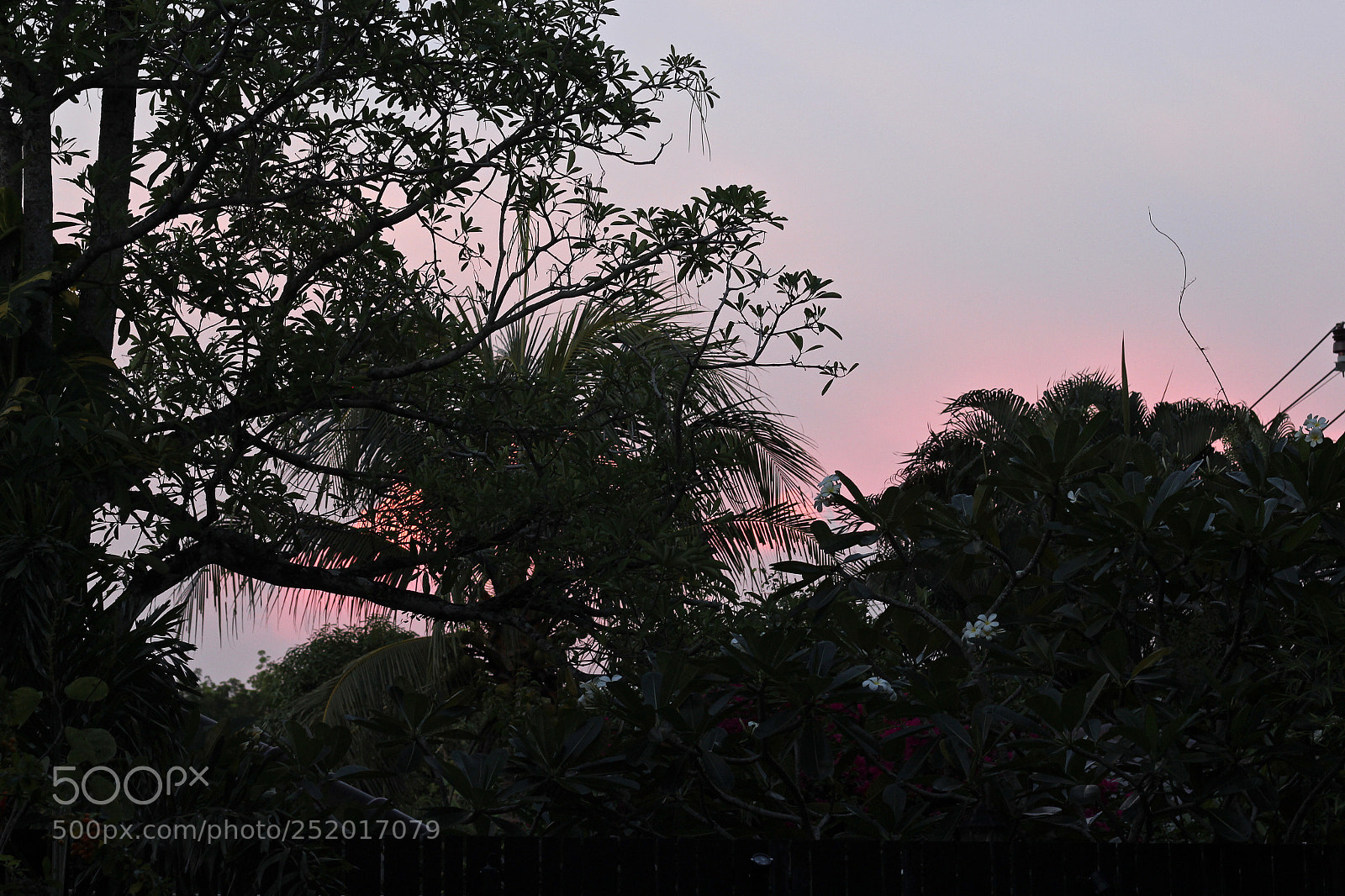 Canon EOS 700D (EOS Rebel T5i / EOS Kiss X7i) sample photo. Pink in the sky  photography