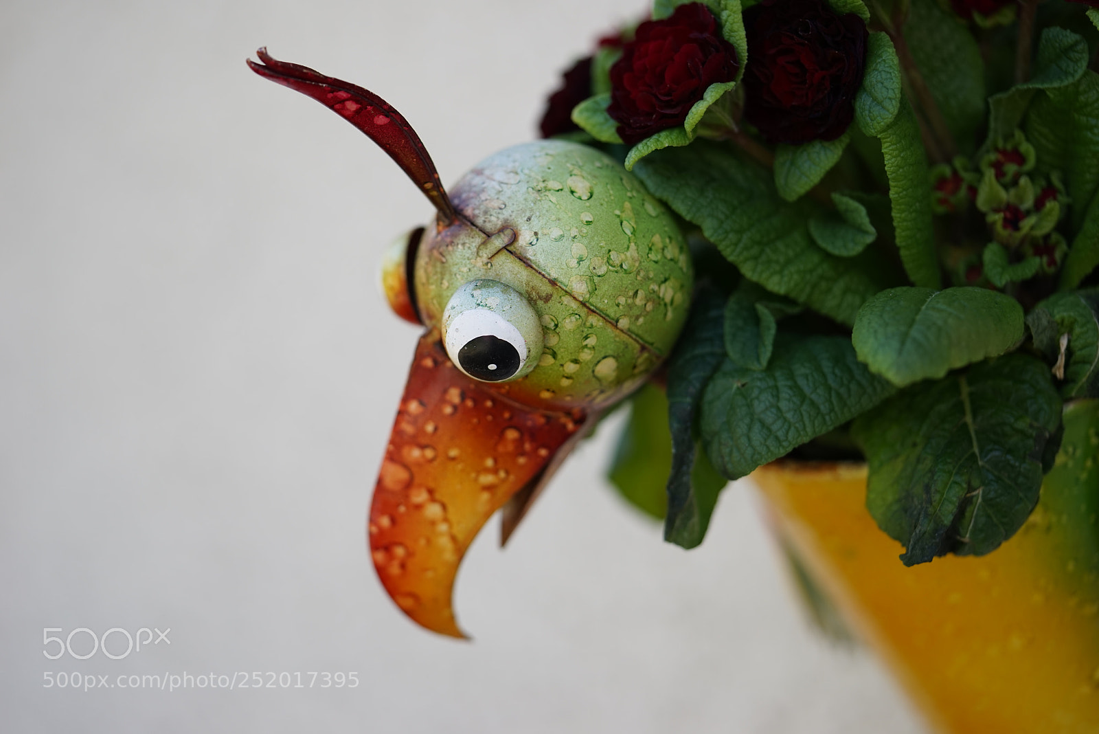 Sony a7R sample photo. Dekovogel photography