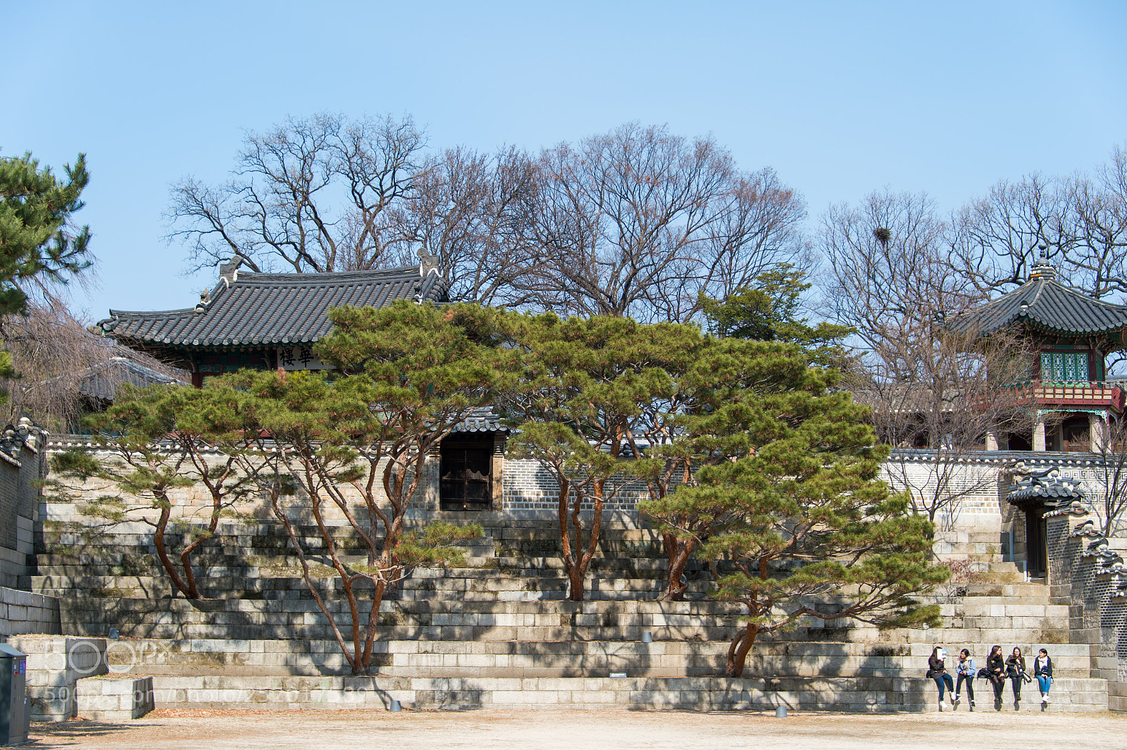 Nikon Df sample photo. Seoul, south korea photography