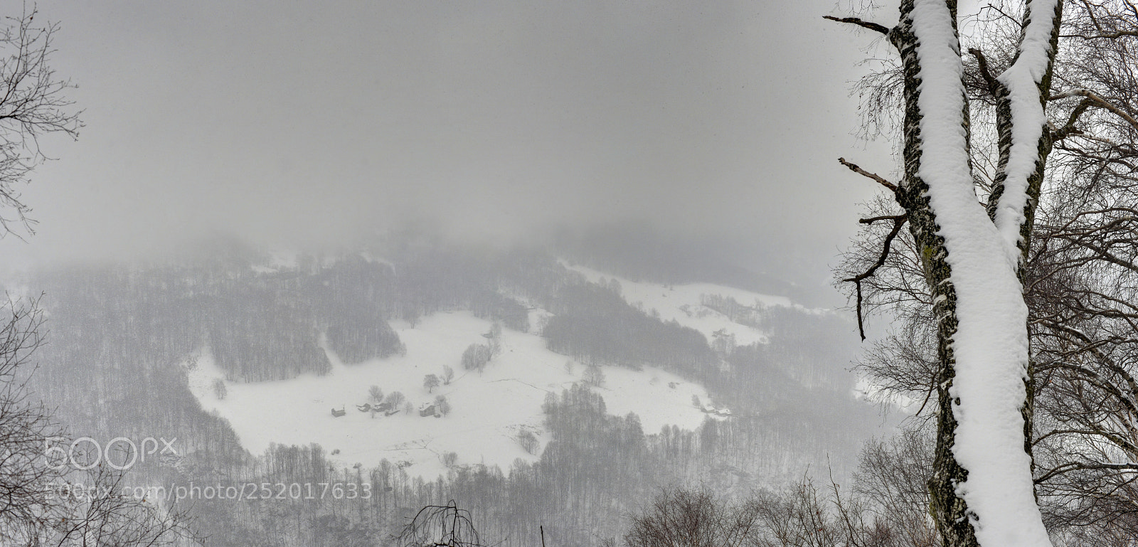 Nikon D600 sample photo. Last winter day photography
