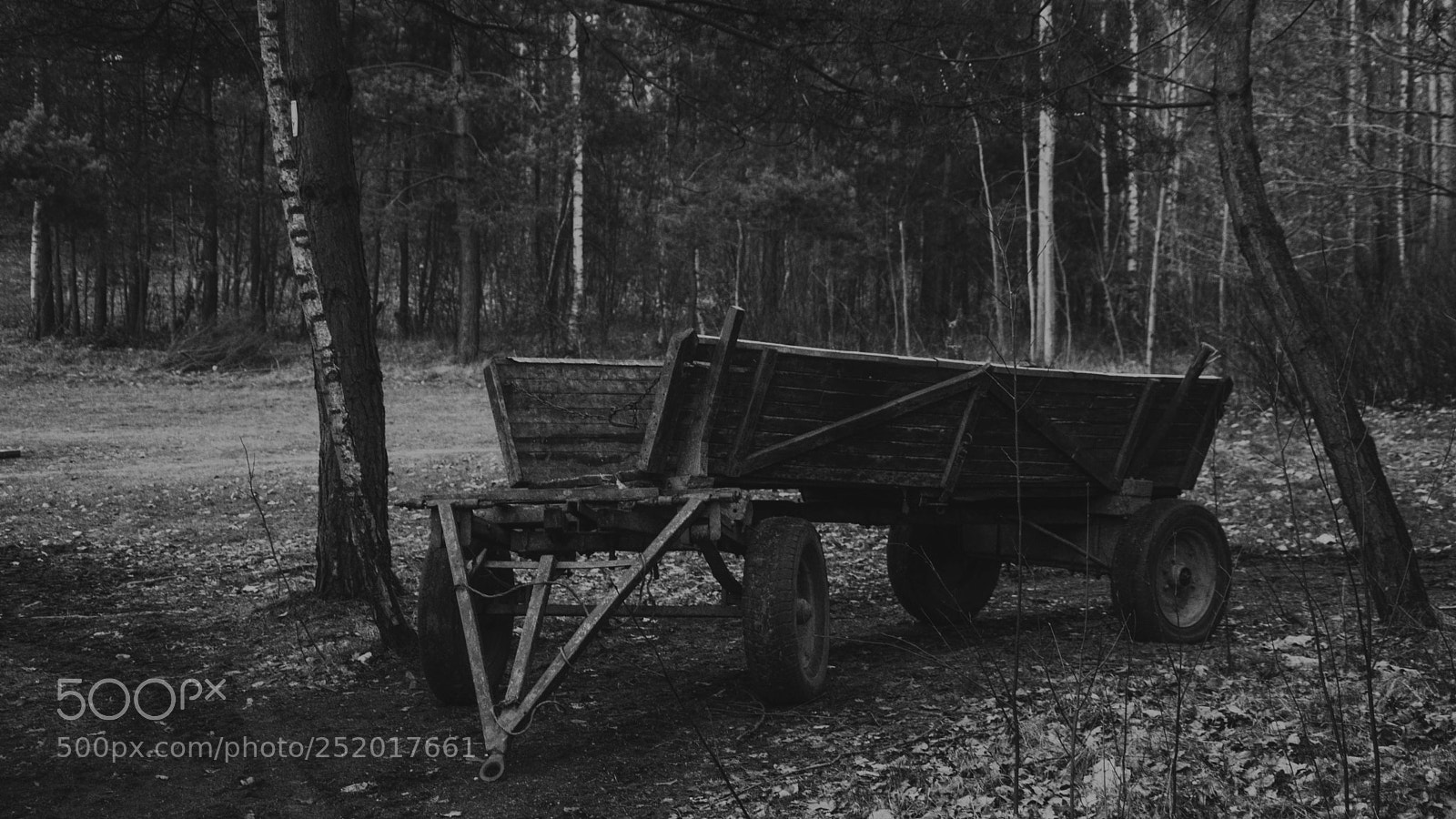 Nikon D3300 sample photo. Carriage photography