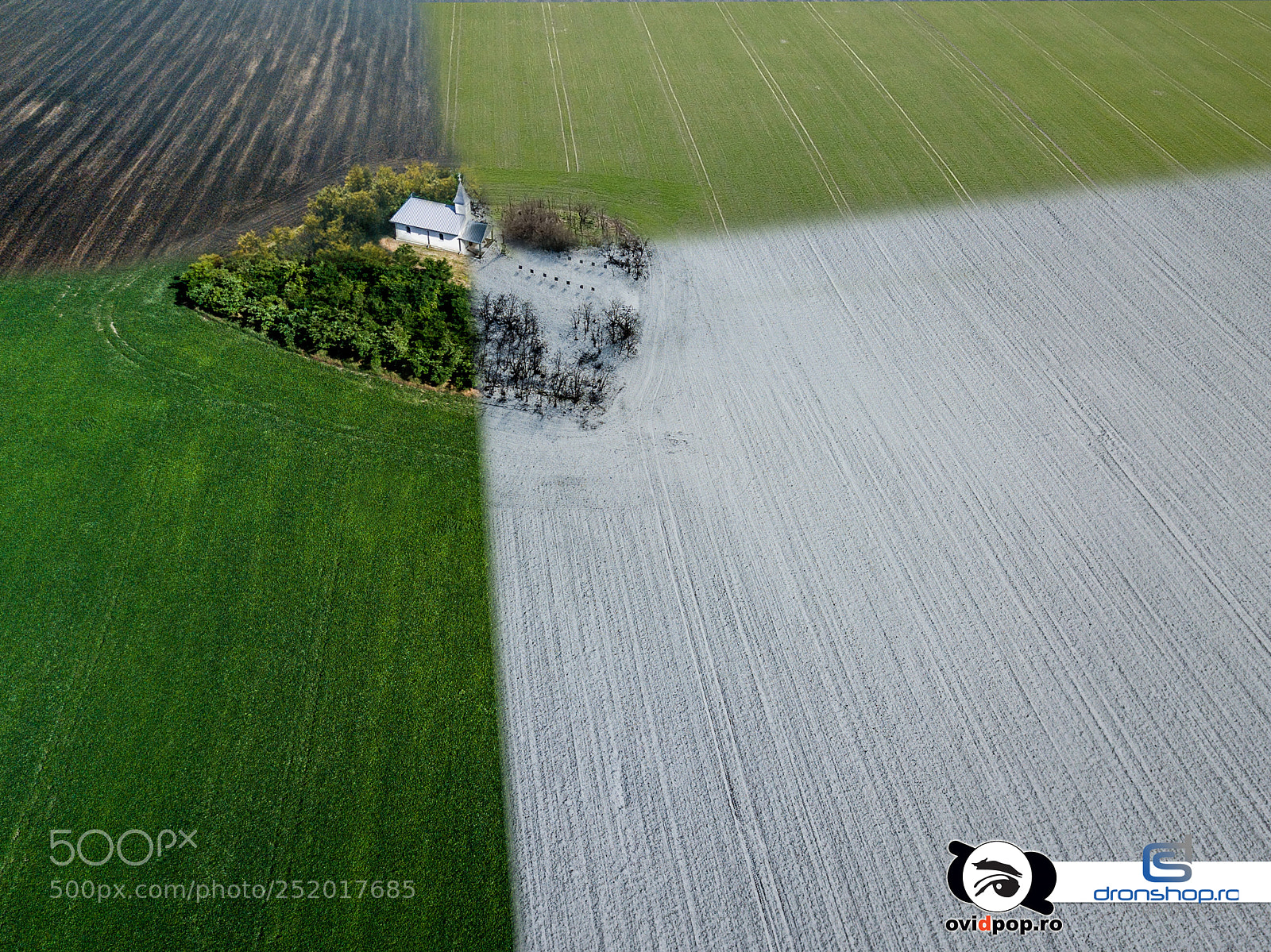 DJI FC220 sample photo. Four seasons f photography