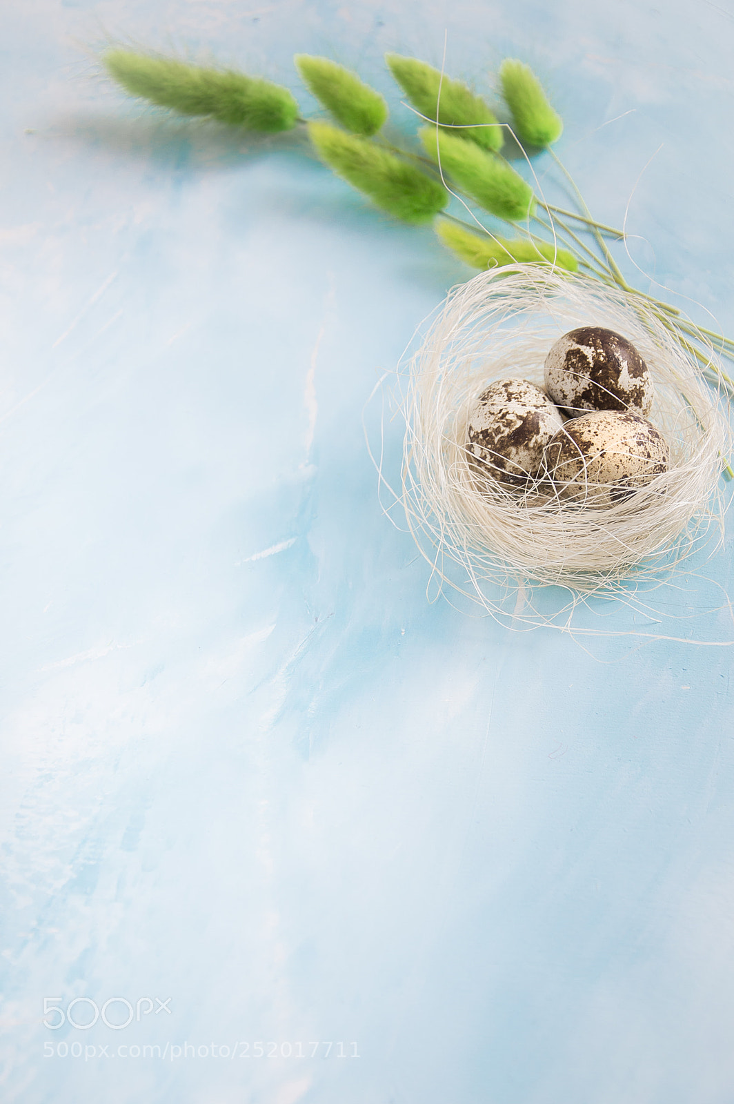 Nikon D3200 sample photo. Nest with quail eggs photography