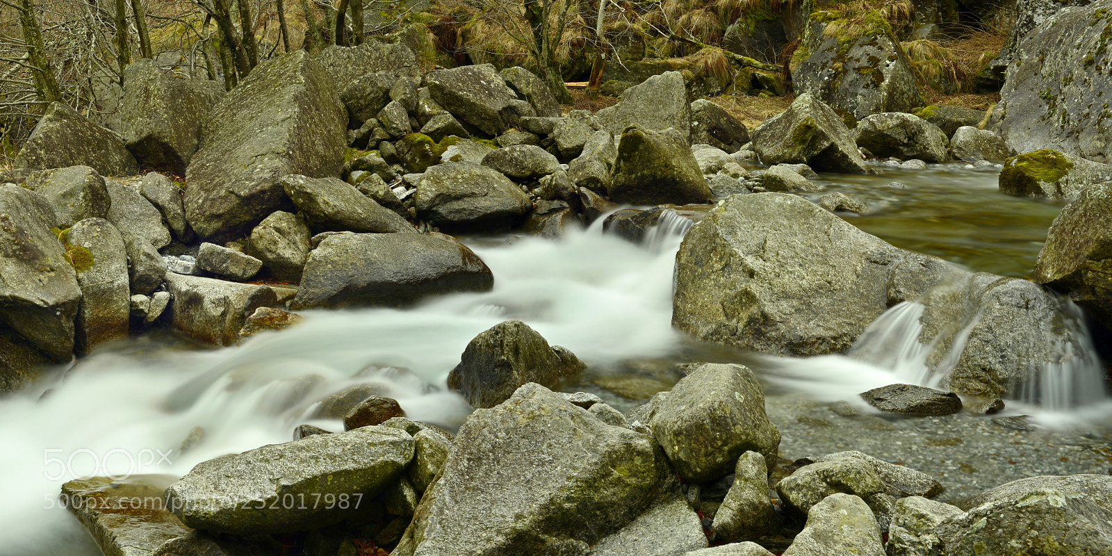 Nikon D600 sample photo. At the river photography