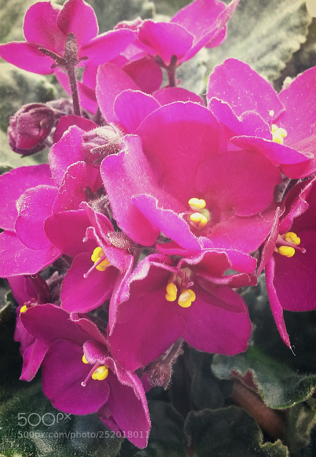 Samsung Galaxy S4 Mini sample photo. Untitled photography