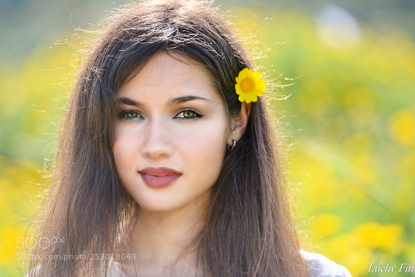 Nikon D800 sample photo. Victoria () photography