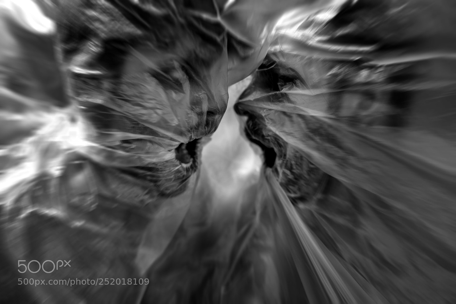 Nikon D610 sample photo. El beso photography