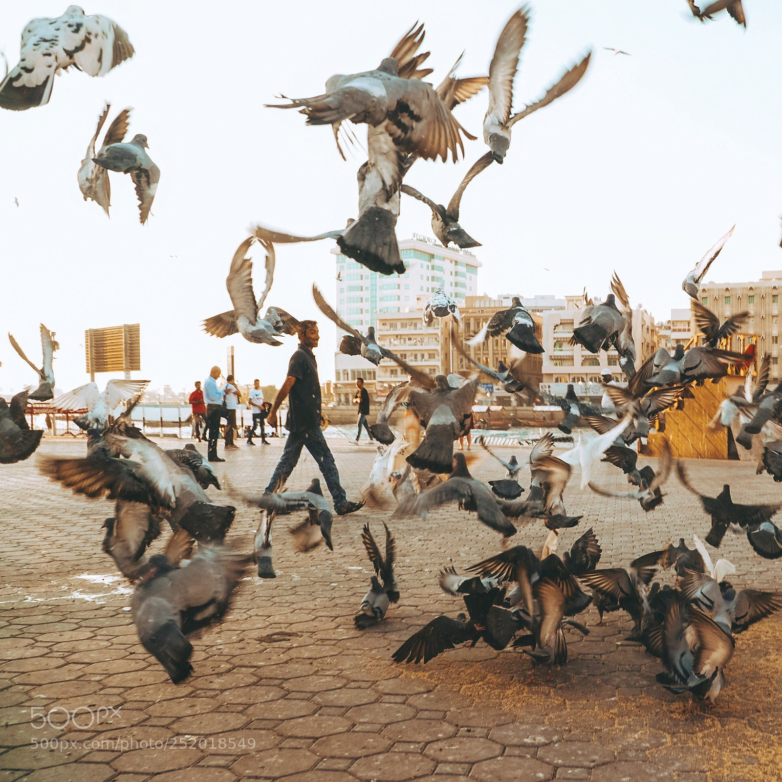 Sony a6300 sample photo. People of dubai  photography