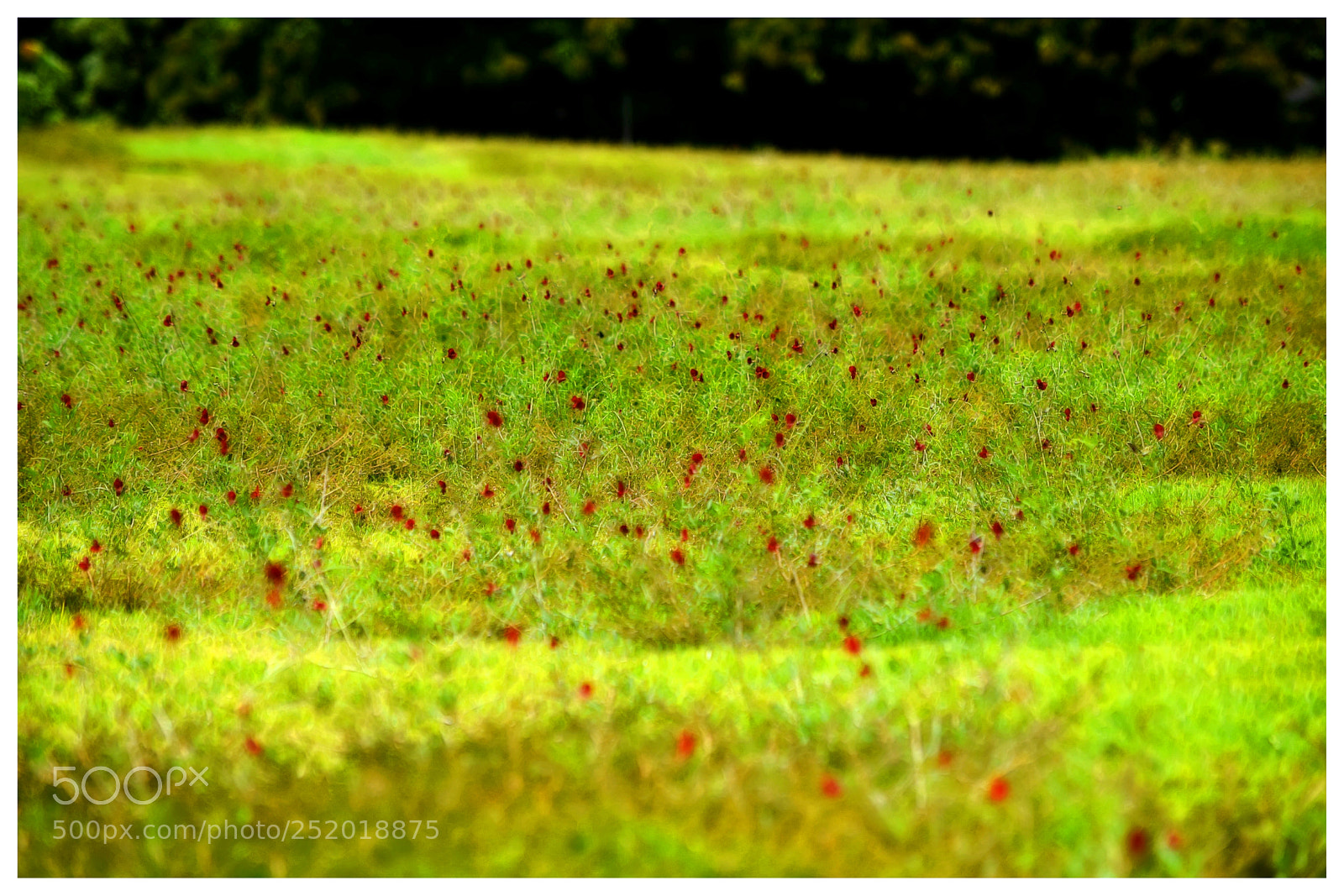 Nikon D5300 sample photo. ... photography