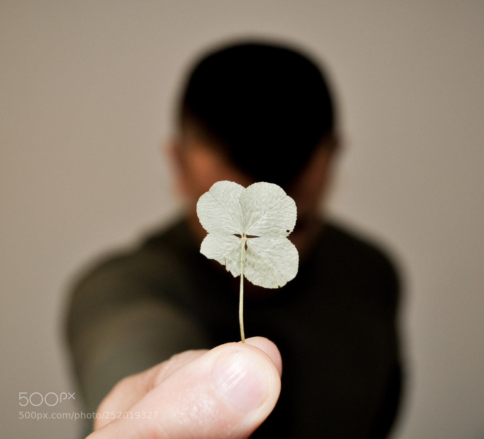 Nikon D5000 sample photo. Untitled photography