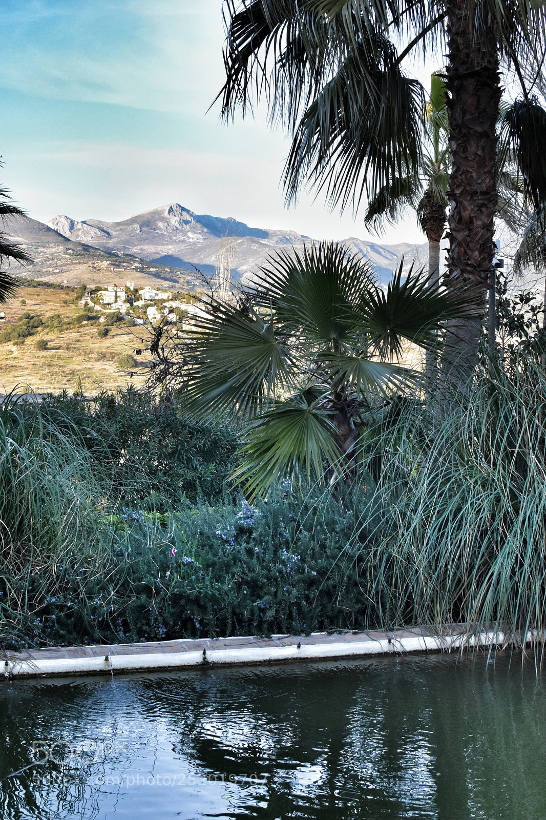 Nikon D7200 sample photo. #greenlife photography