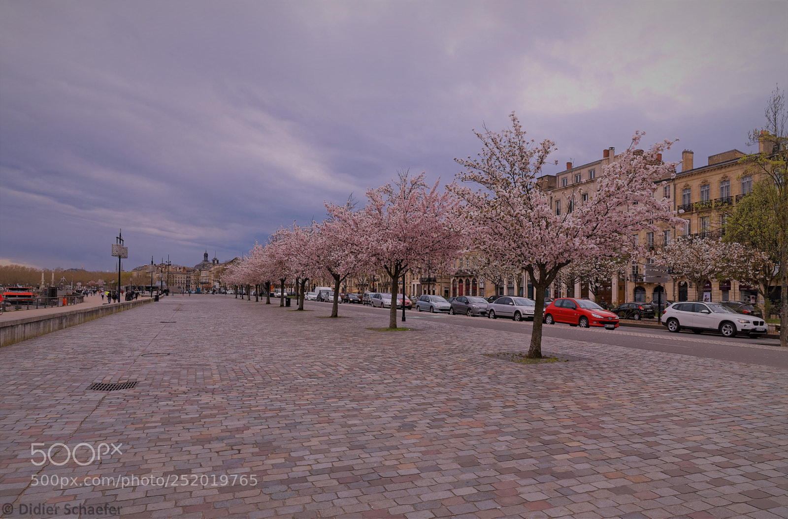 Canon EOS 50D sample photo. Pink photography