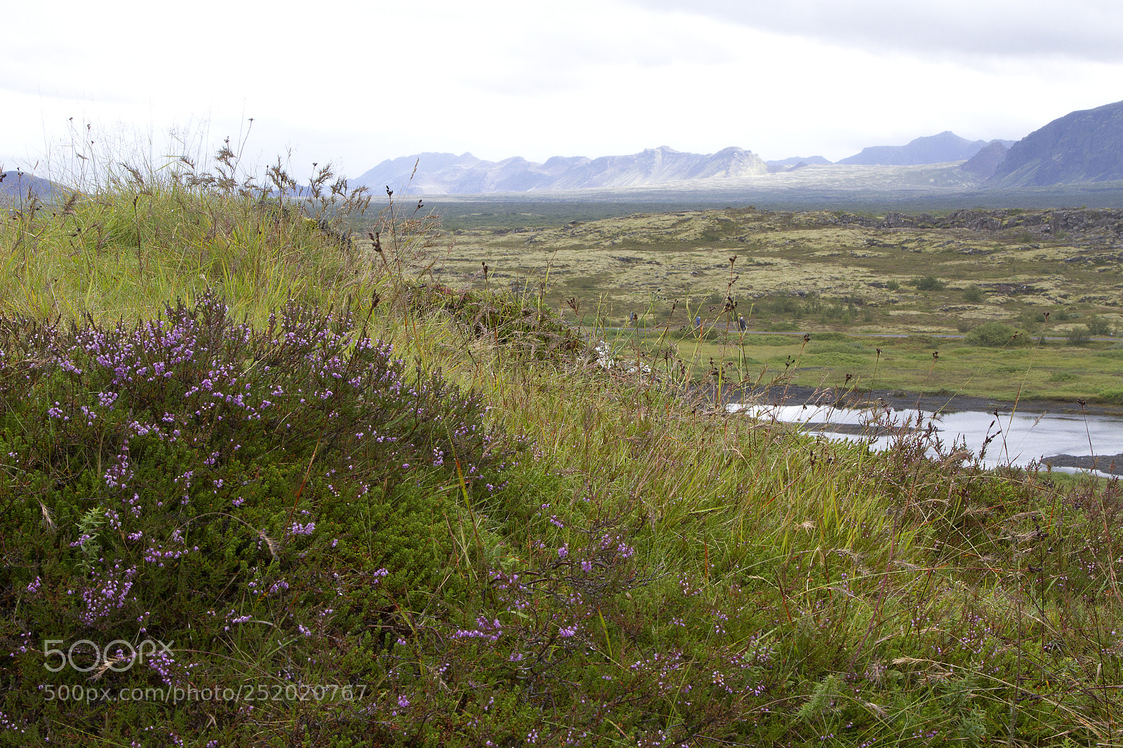 Canon EOS 7D sample photo. Colors of iceland photography