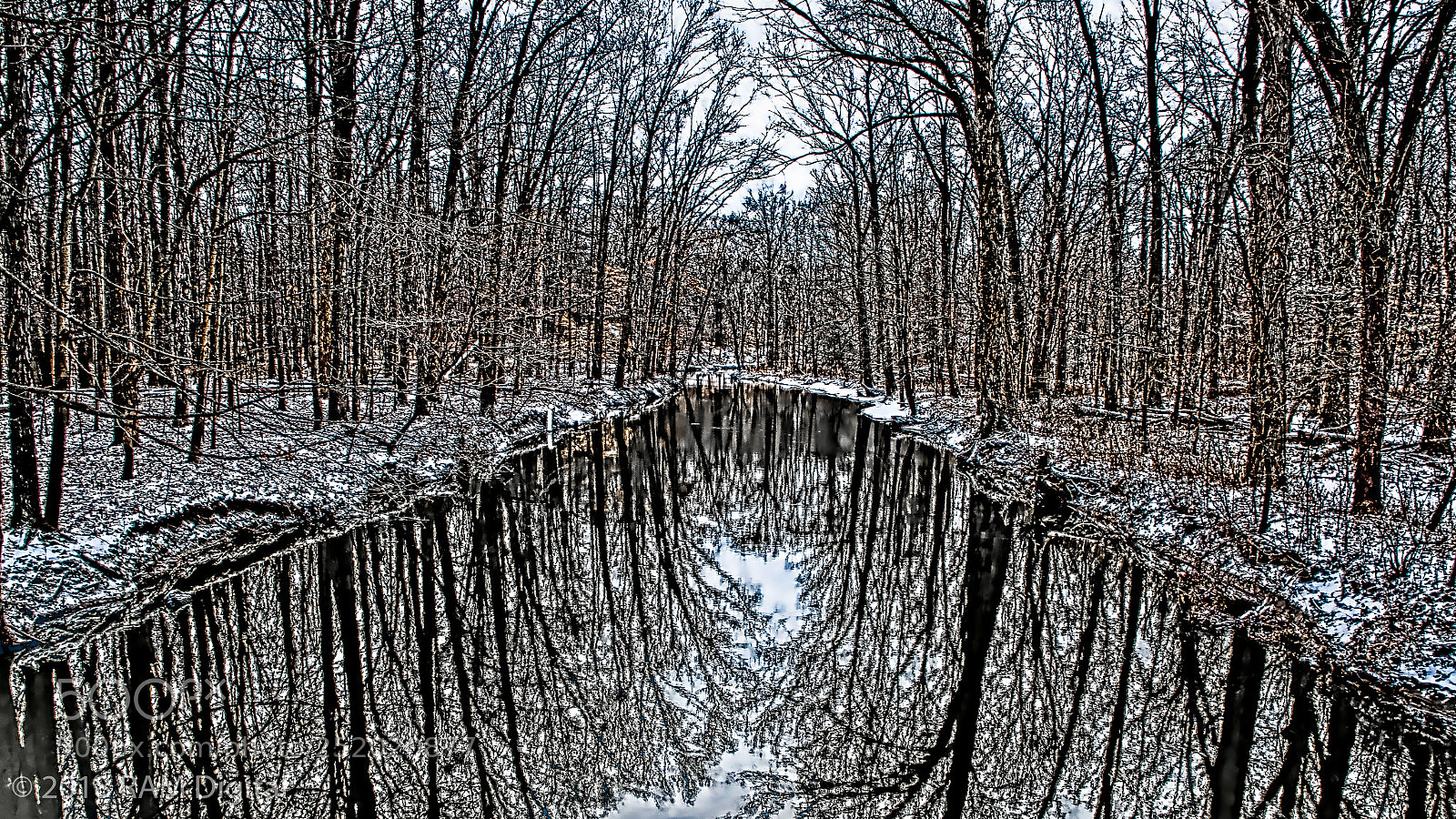 Canon EOS-1D X Mark II sample photo. Reflected worlds photography