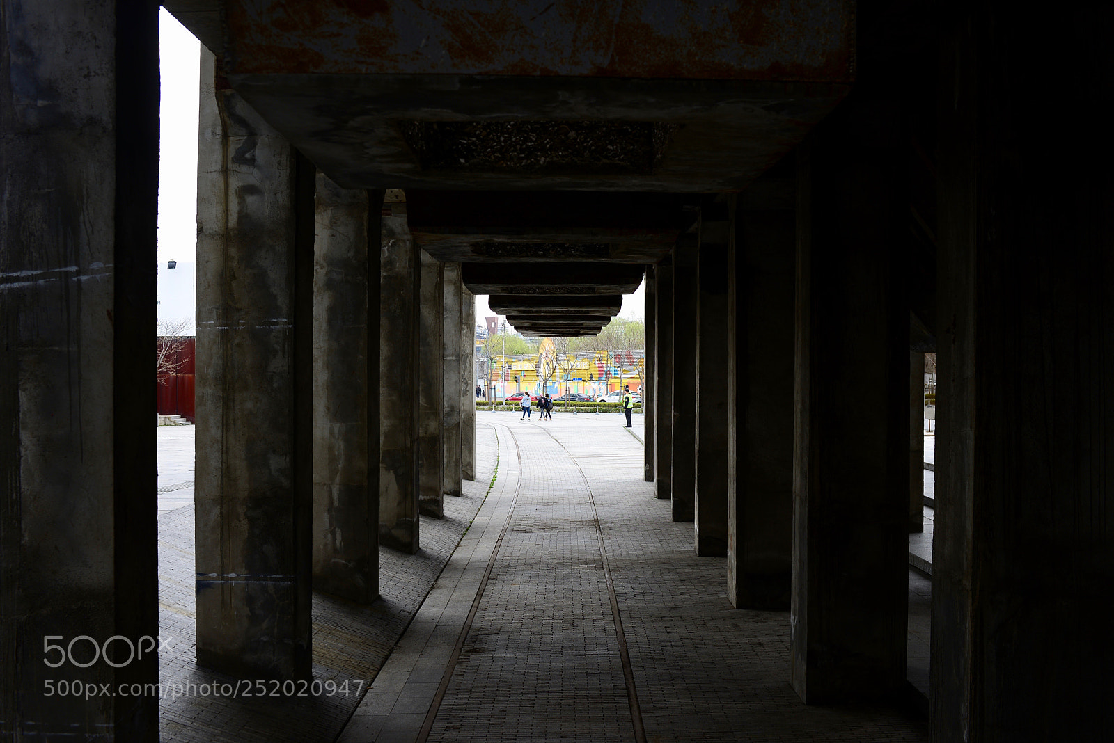 Nikon D610 sample photo. M photography