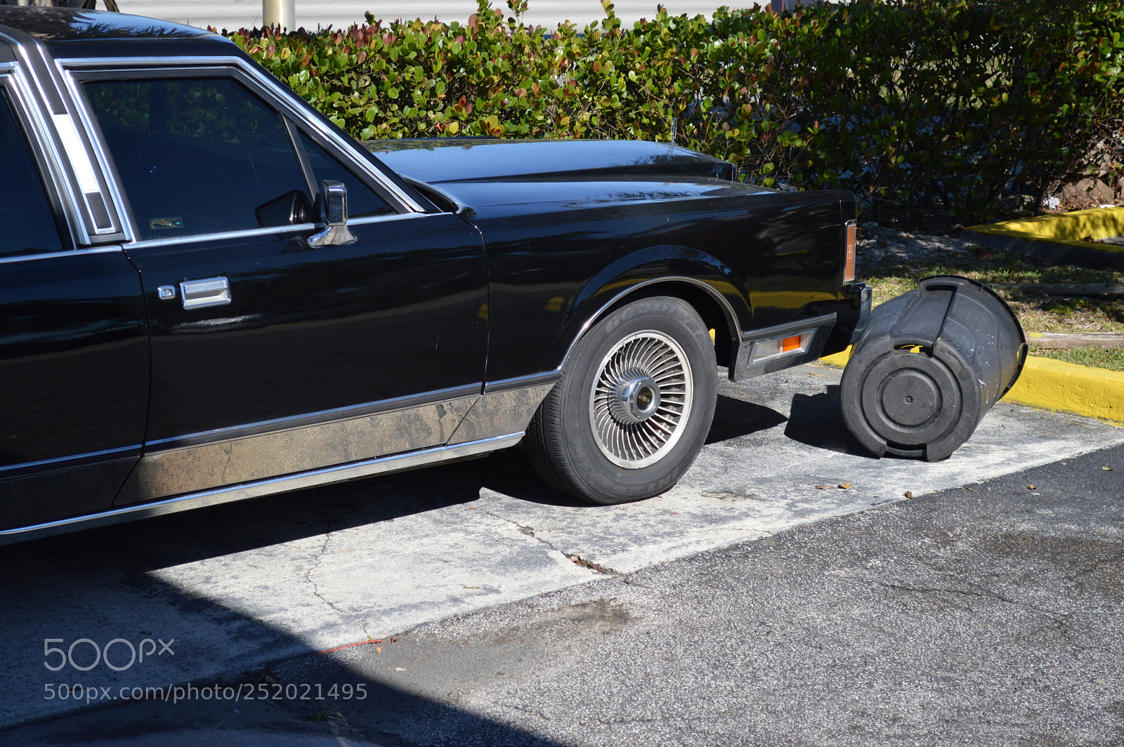 Nikon D3200 sample photo. Car hits trash photography
