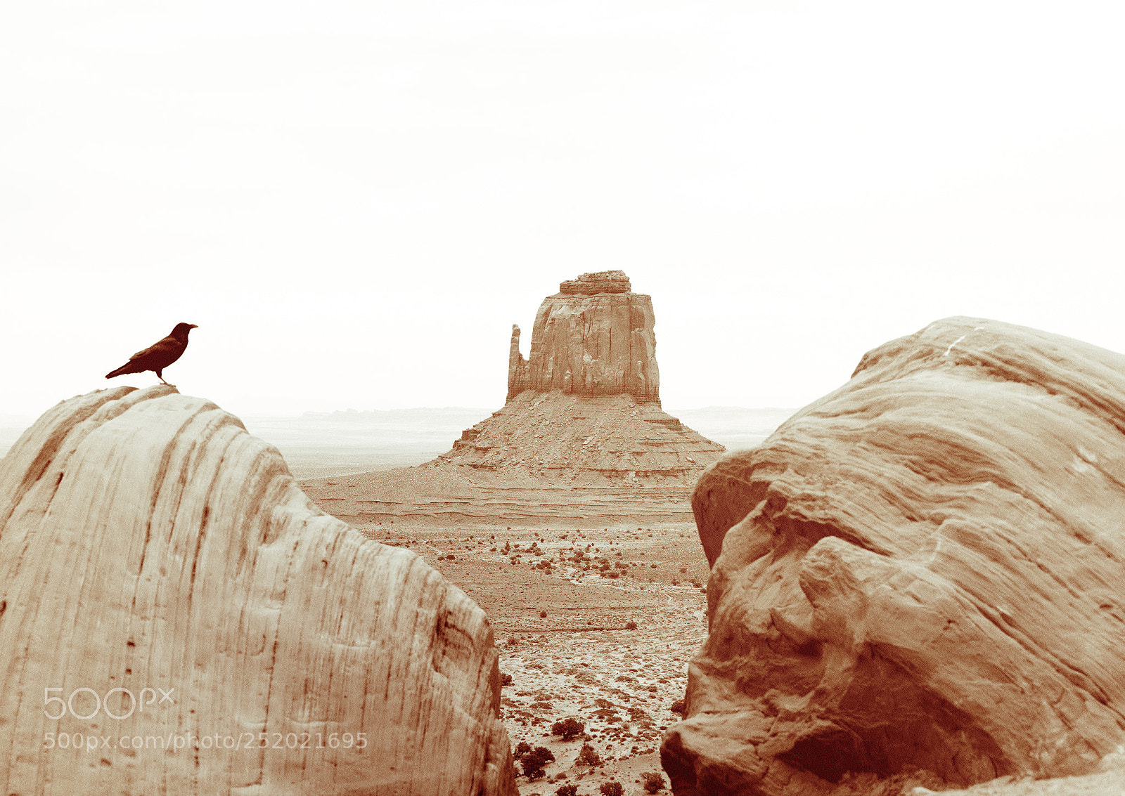 Nikon D810 sample photo. Monument valley photography