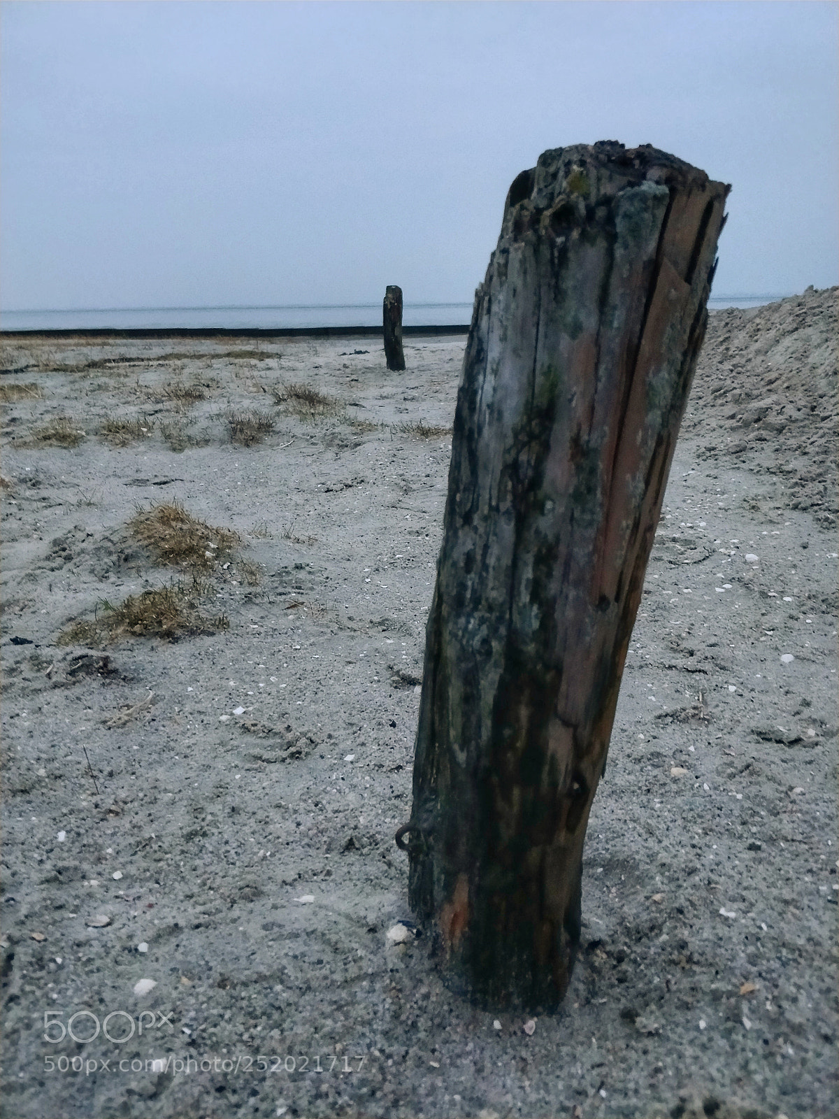 OnePlus 5 sample photo. Untitled photography