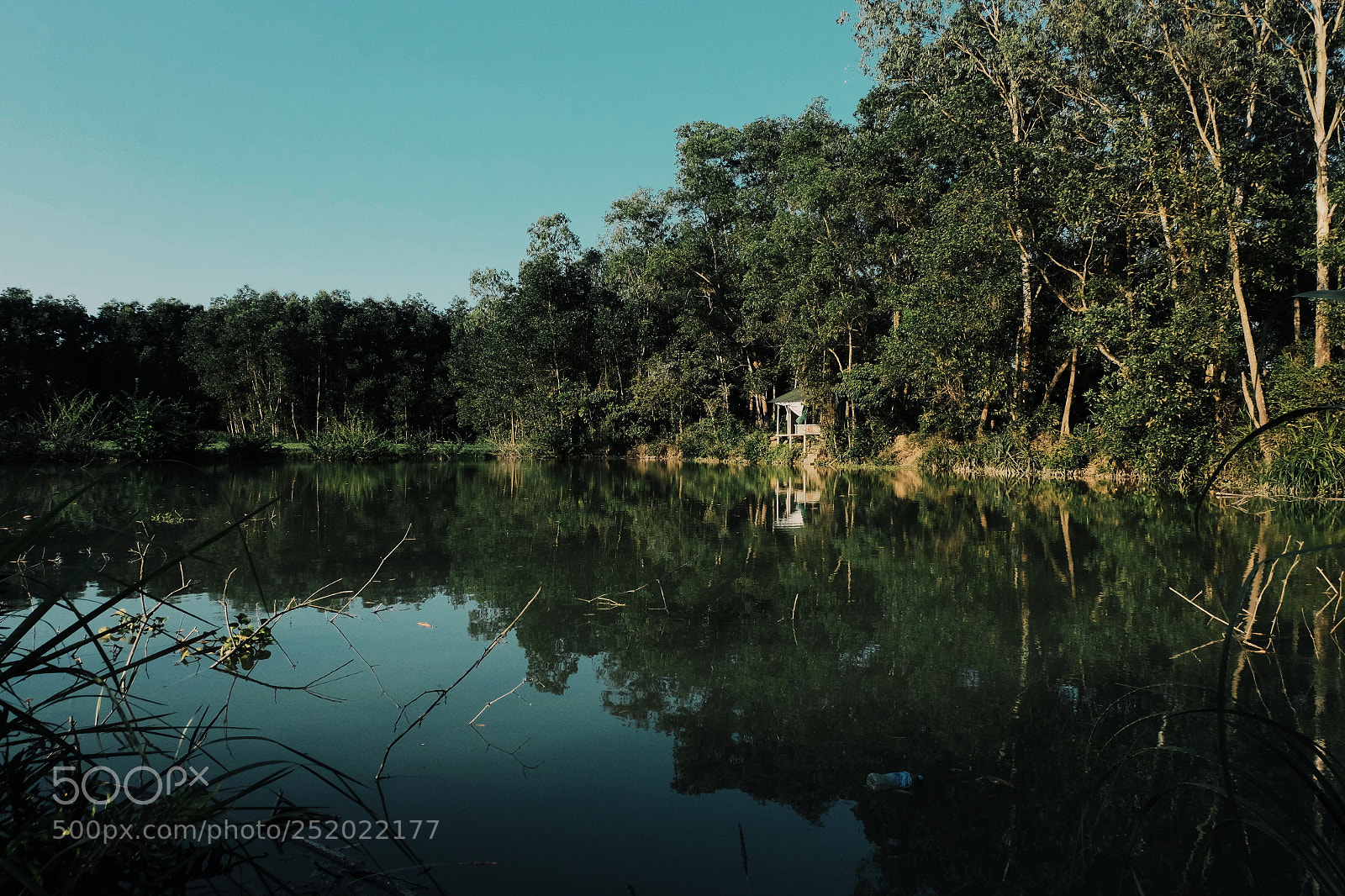 Fujifilm X-T1 sample photo. Untitled photography