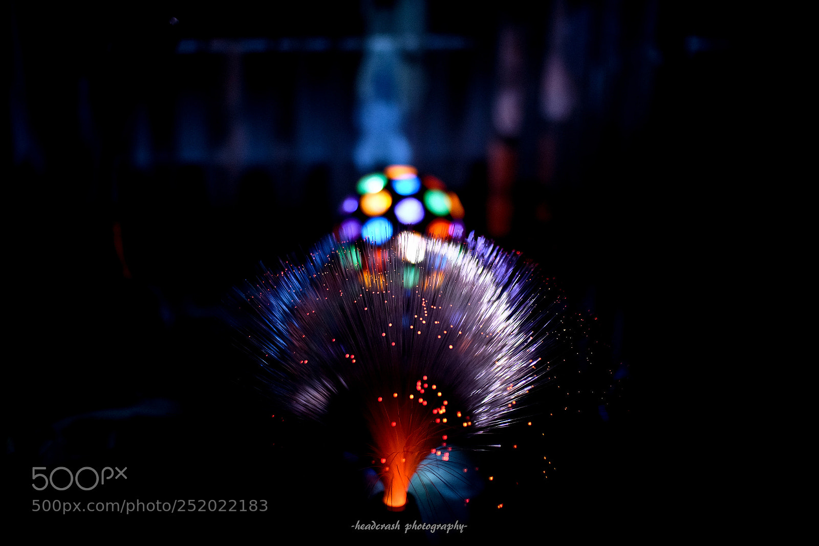 Fujifilm X-E2 sample photo. Illuminated photography