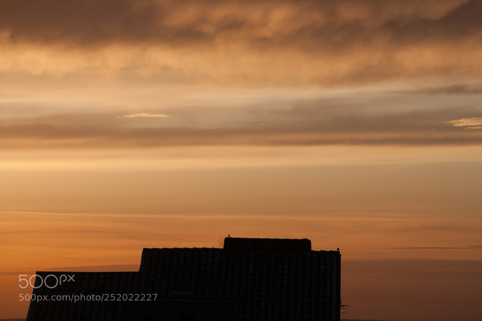 Canon EOS-1Ds Mark II sample photo. Garrigues sunset photography