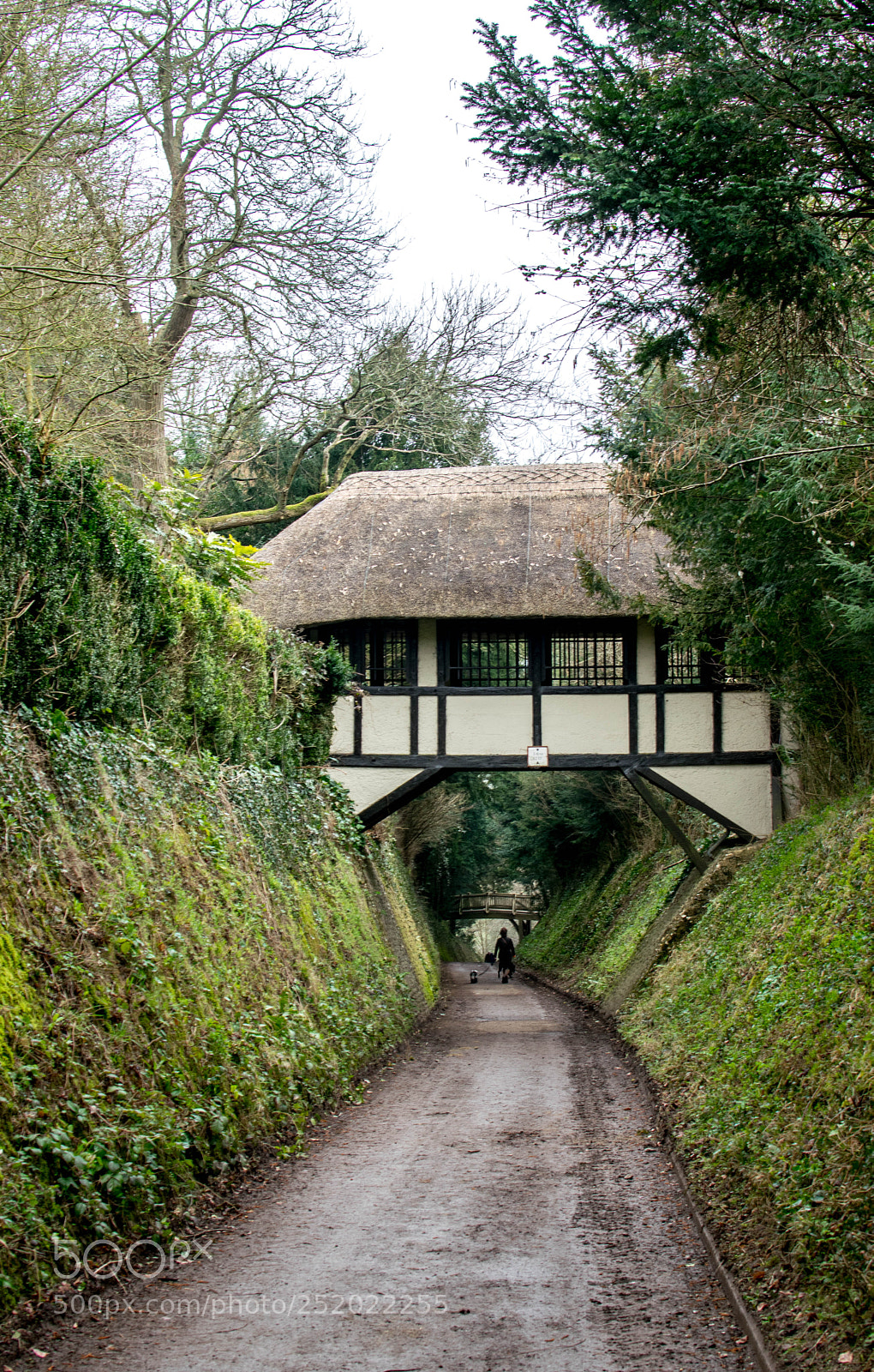 Nikon D3300 sample photo. Narrow walkway photography