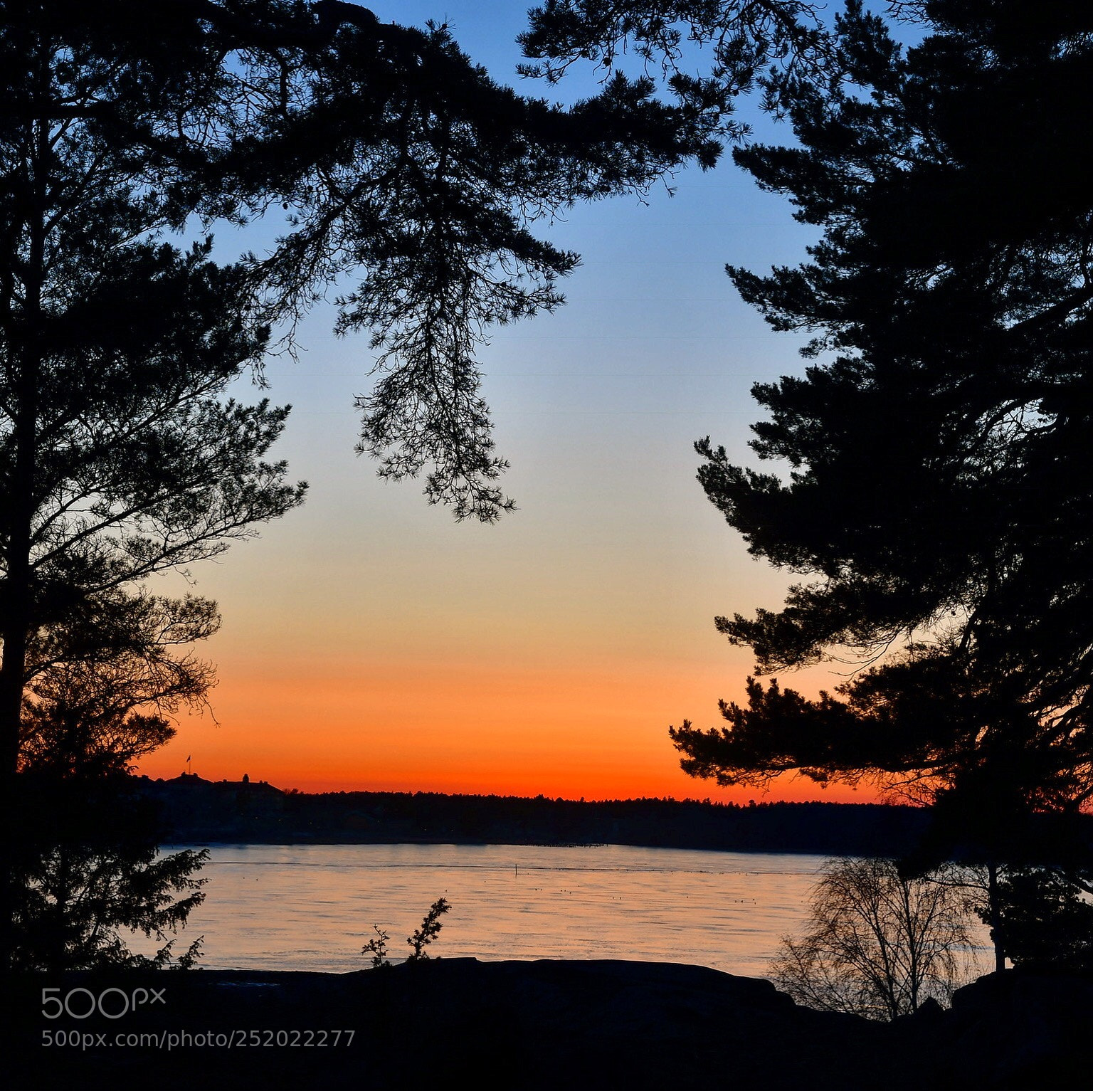 Nikon D500 sample photo. Sunset photography