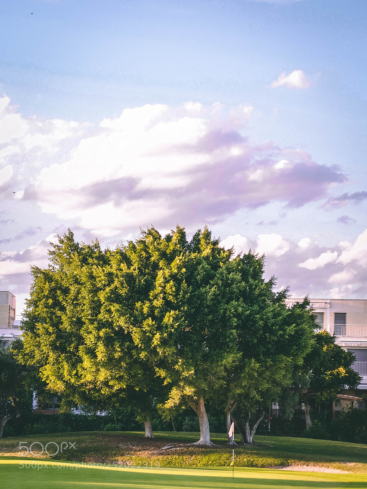 Nikon D300 sample photo. Campo de golf photography