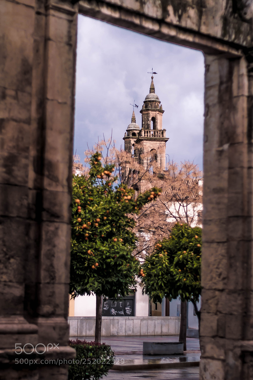 Nikon D300 sample photo. Catedral photography