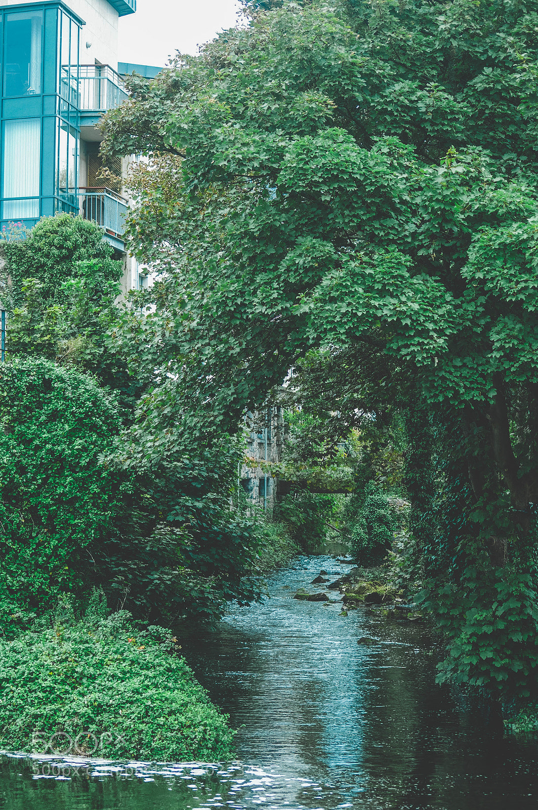 Nikon D300 sample photo. Rio galway photography